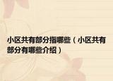 小區(qū)共有部分指哪些（小區(qū)共有部分有哪些介紹）