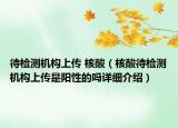 待檢測機構(gòu)上傳 核酸（核酸待檢測機構(gòu)上傳是陽性的嗎詳細(xì)介紹）
