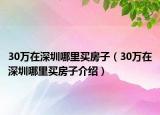 30萬(wàn)在深圳哪里買(mǎi)房子（30萬(wàn)在深圳哪里買(mǎi)房子介紹）