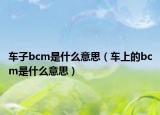 車子bcm是什么意思（車上的bcm是什么意思）