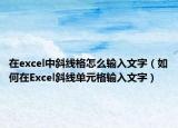 在excel中斜線格怎么輸入文字（如何在Excel斜線單元格輸入文字）