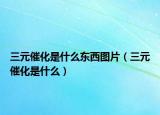 三元催化是什么東西圖片（三元催化是什么）