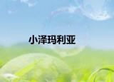 小澤瑪利亞