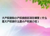 大產(chǎn)權(quán)房和小產(chǎn)權(quán)房的區(qū)別在哪里（什么是大產(chǎn)權(quán)房什么是小產(chǎn)權(quán)房介紹）