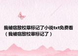 我被宿敵校草標(biāo)記了小說txt免費看（我被宿敵校草標(biāo)記了）