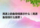 高速上的魚骨線表示什么（高速魚骨線什么意思）