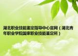 湖北職業(yè)技能鑒定指導(dǎo)中心官網(wǎng)（湖北青年職業(yè)學(xué)院國(guó)家職業(yè)技能鑒定所）