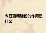 今日更新硅粉的作用是什么