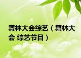 舞林大會(huì)綜藝（舞林大會(huì) 綜藝節(jié)目）