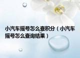 小汽車搖號怎么查積分（小汽車搖號怎么查詢結果）