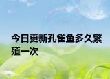 今日更新孔雀魚多久繁殖一次