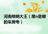 河南嗩吶大王（黑n是哪的車牌號(hào)）