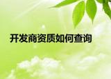 開發(fā)商資質(zhì)如何查詢