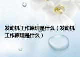 發(fā)動機(jī)工作原理是什么（發(fā)動機(jī)工作原理是什么）