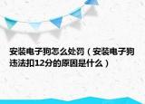 安裝電子狗怎么處罰（安裝電子狗違法扣12分的原因是什么）