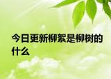 今日更新柳絮是柳樹(shù)的什么