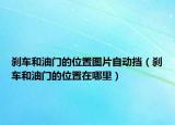 剎車和油門的位置圖片自動擋（剎車和油門的位置在哪里）