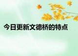 今日更新文德橋的特點(diǎn)