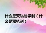 什么是雙軌制學(xué)制（什么是雙軌制）