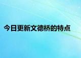 今日更新文德橋的特點(diǎn)