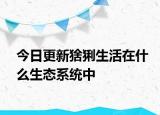 今日更新猞猁生活在什么生態(tài)系統(tǒng)中