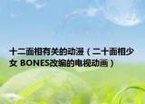 十二面相有關(guān)的動(dòng)漫（二十面相少女 BONES改編的電視動(dòng)畫）