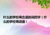 什么的學校填合適的詞四字（什么的學校填詞語）