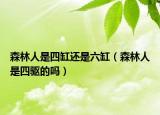 森林人是四缸還是六缸（森林人是四驅(qū)的嗎）
