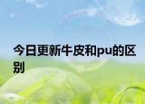 今日更新牛皮和pu的區(qū)別