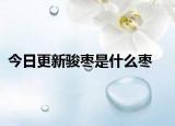 今日更新駿棗是什么棗