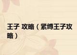 王子 攻略（緊縛王子攻略）