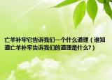 亡羊補(bǔ)牢它告訴我們一個(gè)什么道理（誰(shuí)知道亡羊補(bǔ)牢告訴我們的道理是什么?）