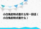 小白兔的特點是什么寫一段話（小白兔的特點是什么）
