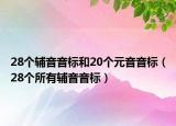 28個輔音音標(biāo)和20個元音音標(biāo)（28個所有輔音音標(biāo)）