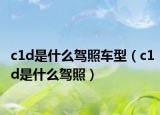c1d是什么駕照車型（c1d是什么駕照）