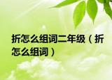 折怎么組詞二年級(jí)（折怎么組詞）