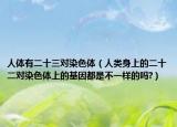 人體有二十三對染色體（人類身上的二十二對染色體上的基因都是不一樣的嗎?）