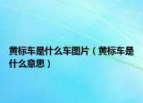 黃標(biāo)車是什么車圖片（黃標(biāo)車是什么意思）