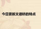今日更新文德橋的特點(diǎn)
