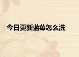 今日更新藍(lán)莓怎么洗