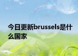 今日更新brussels是什么國家