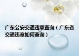 廣東公安交通違章查詢（廣東省交通違章如何查詢）