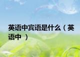 英語(yǔ)中賓語(yǔ)是什么（英語(yǔ)中 ）