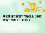 熟讀唐詩三百首下句是什么（熟讀唐詩三百首,下一句是?）