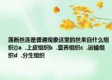 蓮斷絲連是普遍現(xiàn)象這里的絲來自什么組織()a  .上皮組織b  .營養(yǎng)組織c  .運(yùn)輸組織d  .分生組織