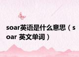 soar英語(yǔ)是什么意思（soar 英文單詞）
