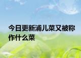 今日更新浦兒菜又被稱作什么菜