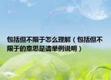 包括但不限于怎么理解（包括但不限于的意思是請舉例說明）