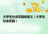 大學(xué)生社會實踐的意義（大學(xué)生社會實踐）