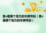 魯v是哪個地方的車牌號碼（魯v是哪個地方的車牌號碼）